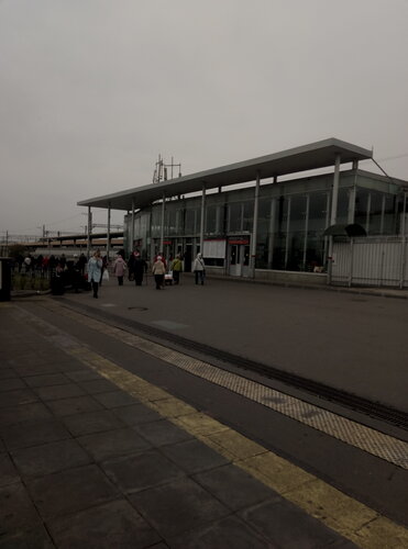 Қыздардың қынаптарының суреттері