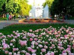 Roses Apartment in the city center (улица Героев Чернобыля, 4А), short-term housing rental