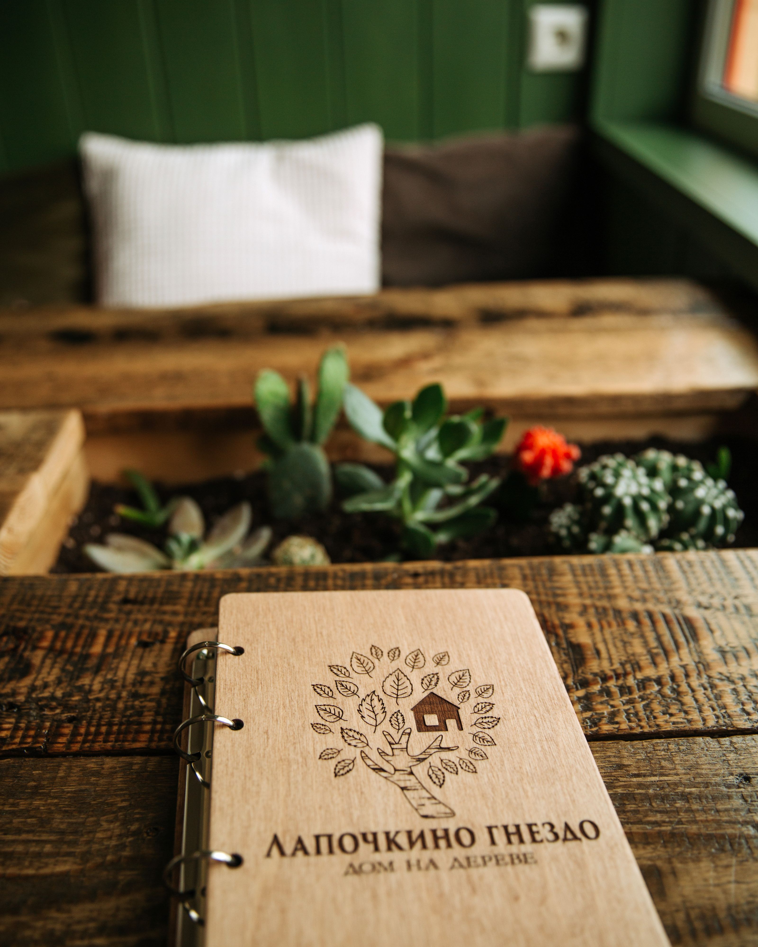 Фото Лапочкино гнездо Дома на деревьях