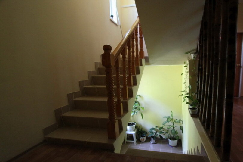 Фото Бамбучок