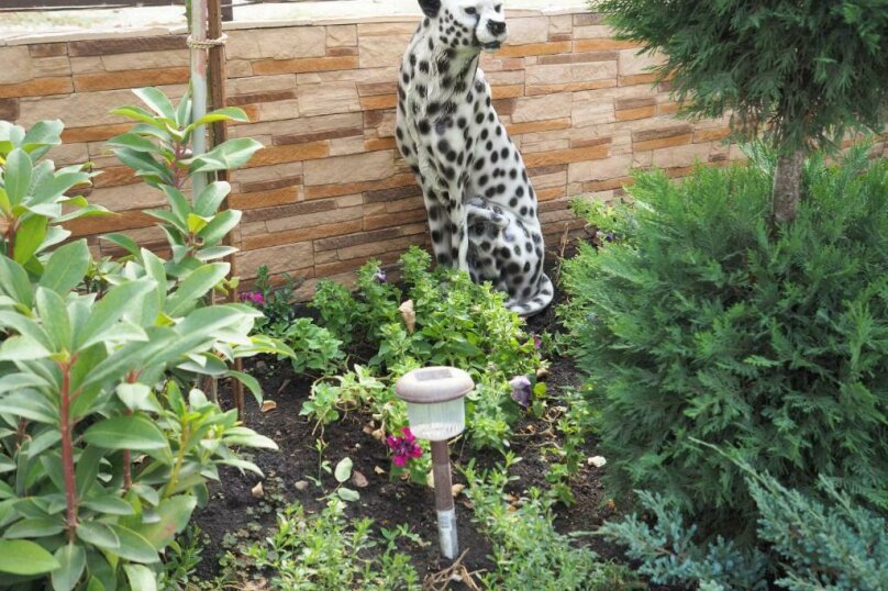 Фото Amigo Panna-Cotta