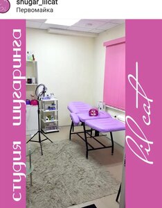 Lilov cat (Novosibirsk, ulitsa Odoyevskogo, 1/8), sugaring