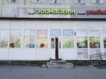 Zolotaya rybka (Kultury Avenue, 22к1), pet shop
