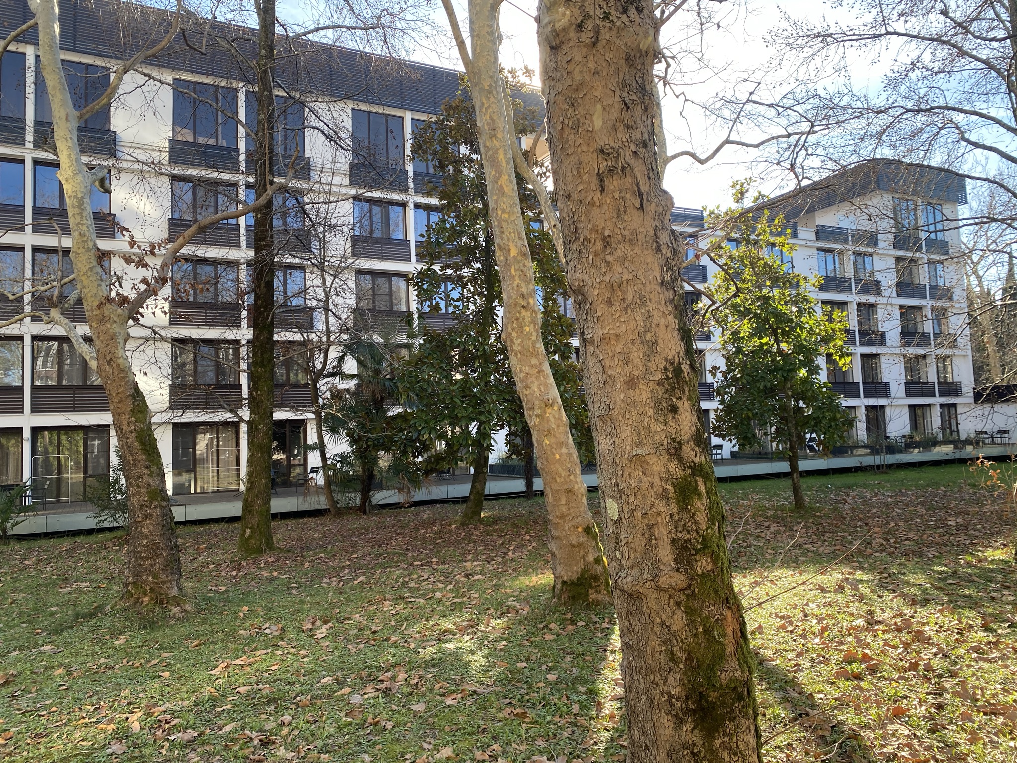 Фото Портобелло