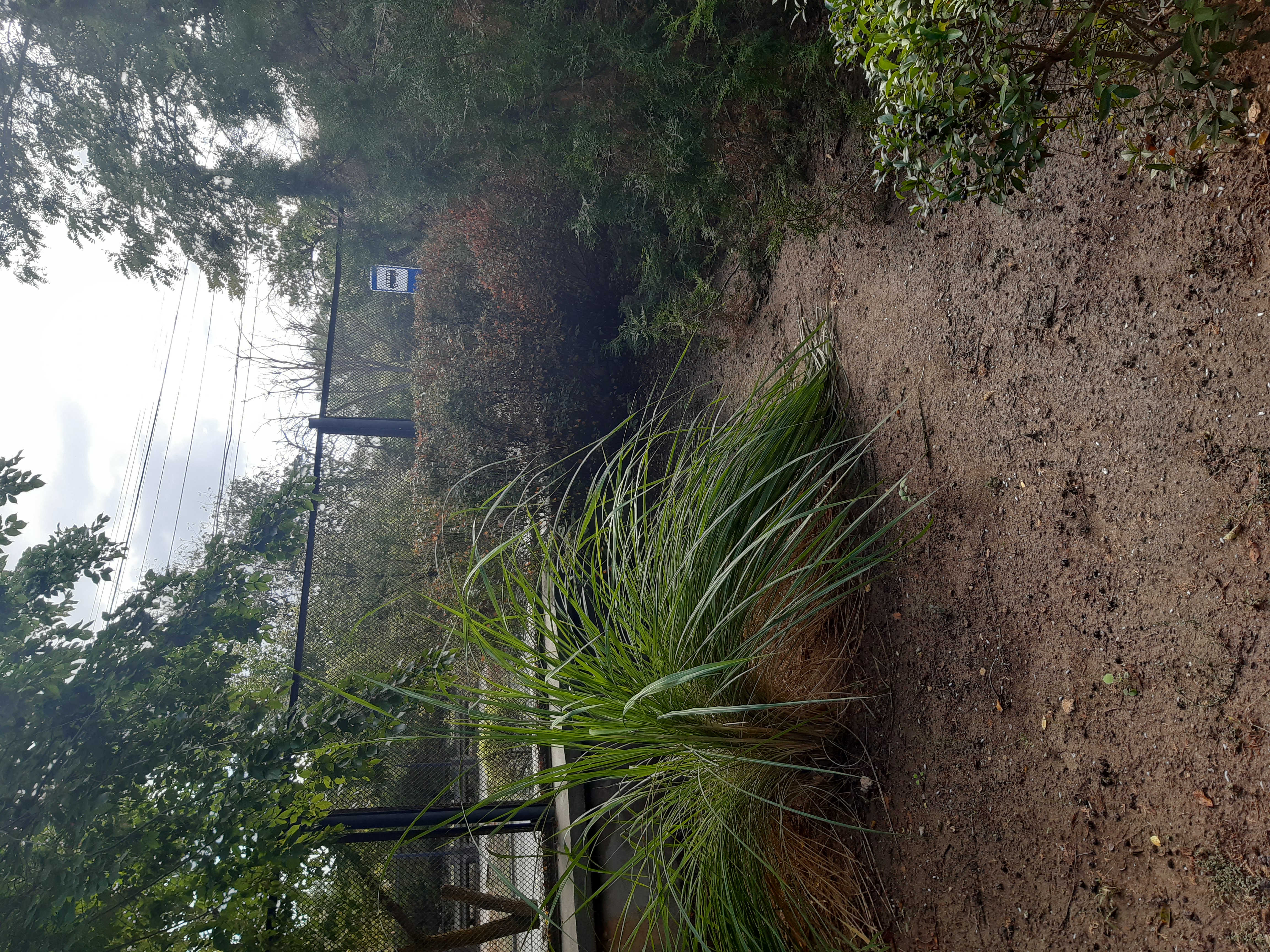 Фото Астра центр