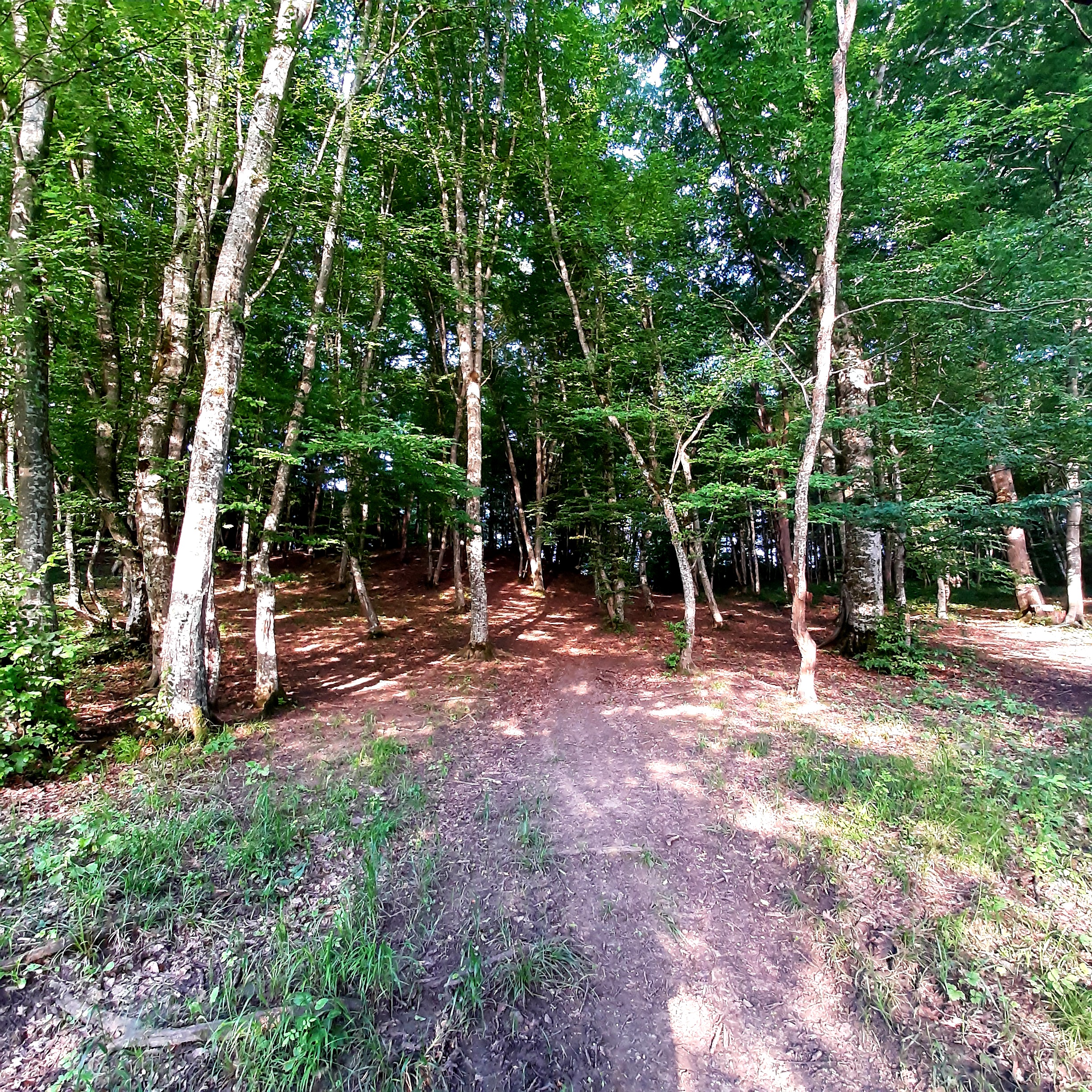 Фото Озеро Желаний