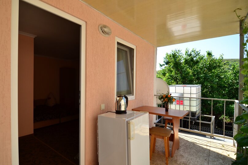 Фото Ласточка