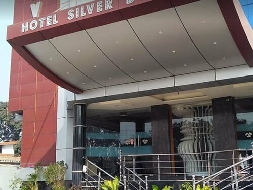 Гостиница Hotel Silver Dollar