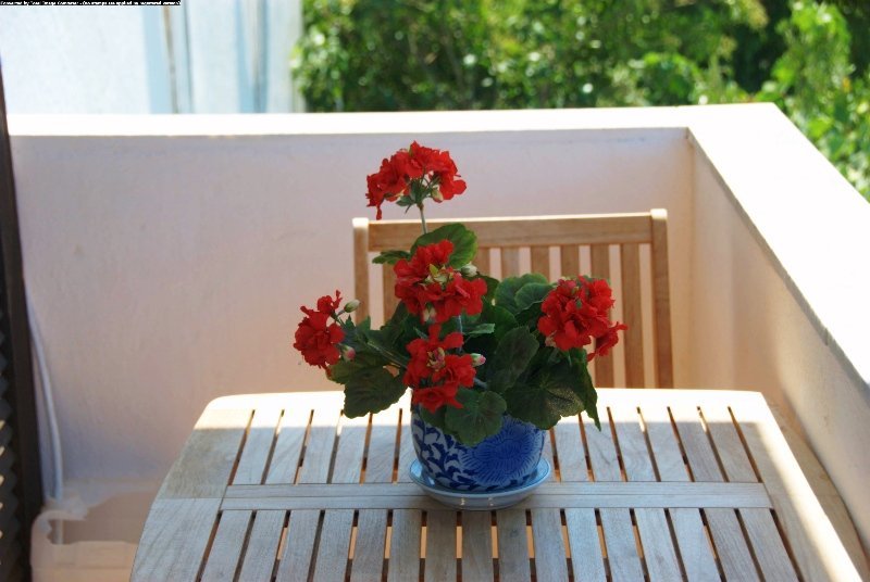 Фото Grikos Hotel