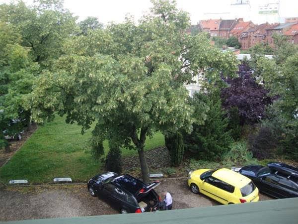 Фото Apartment Hotel Lindeneck