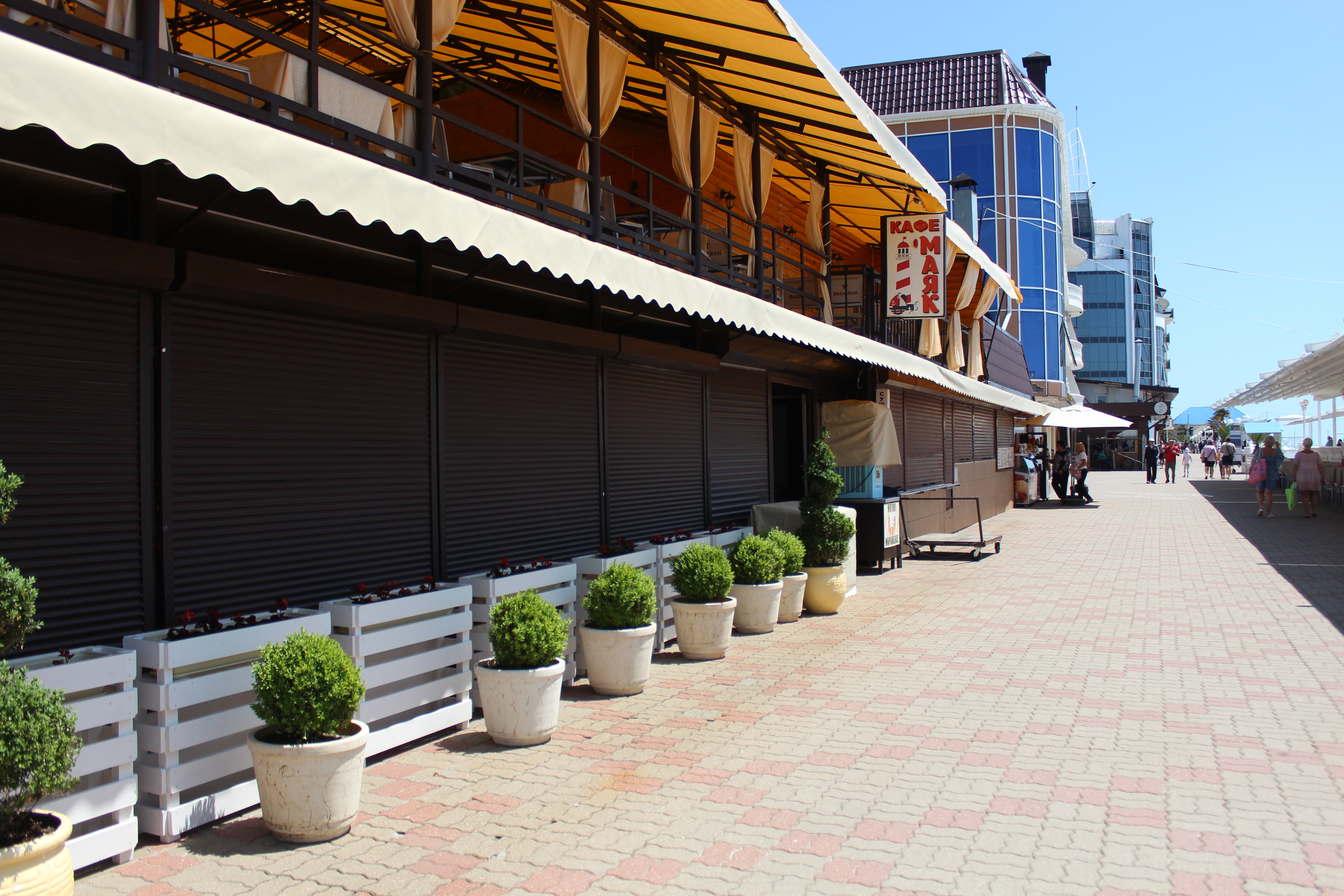 Фото Галла Мария