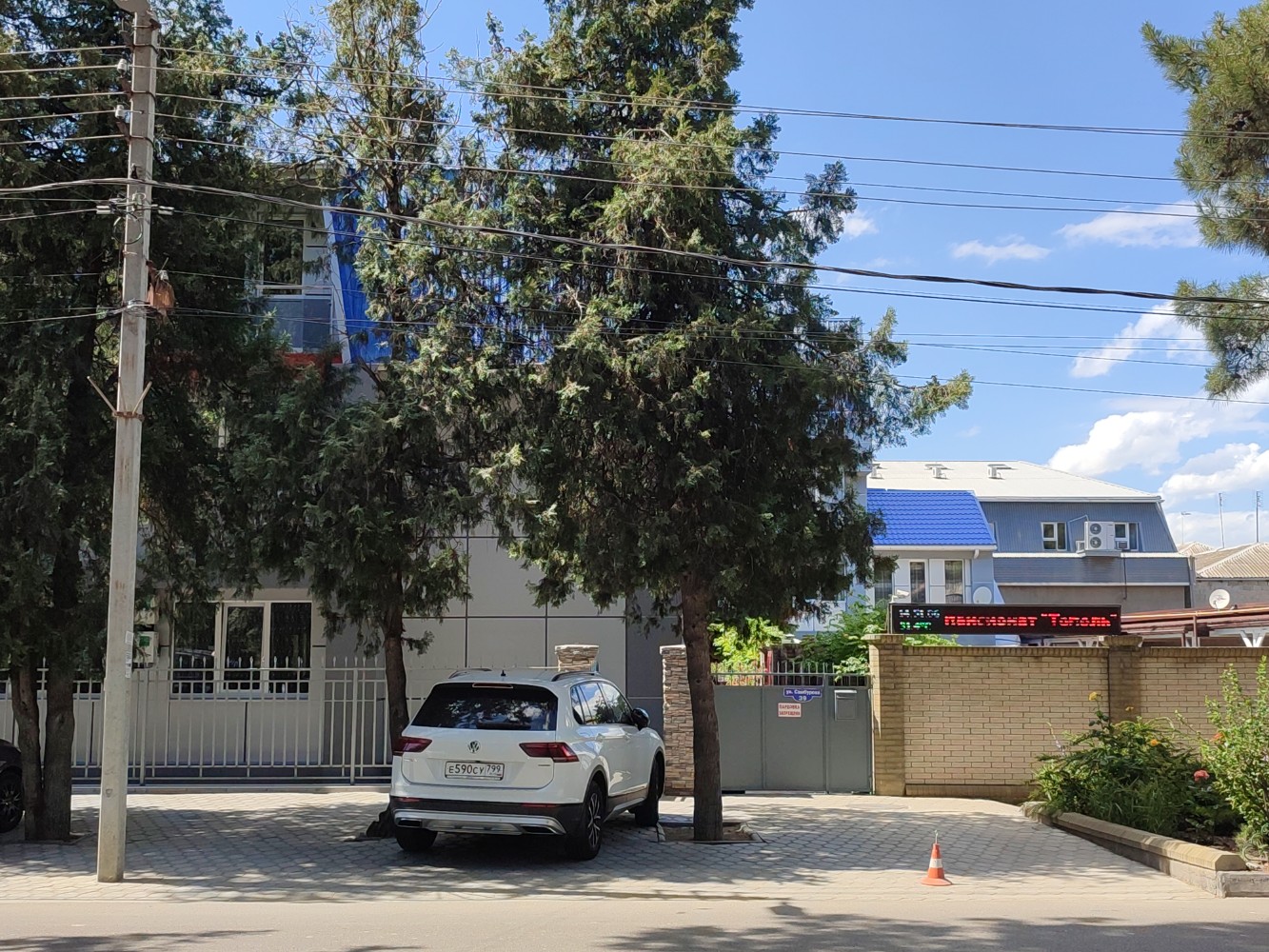 Фото Тополь