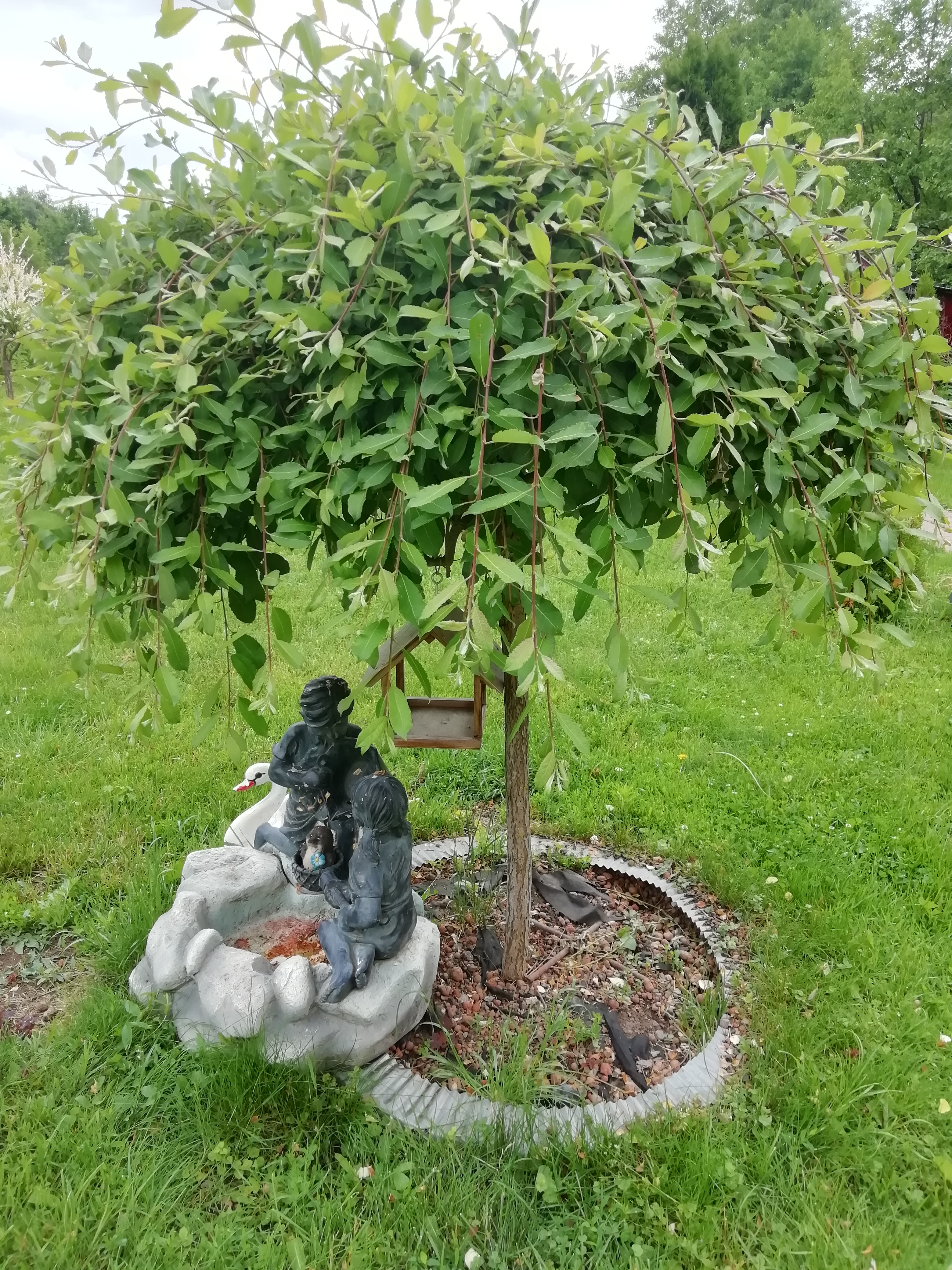 Фото Залесье