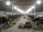 Peasant farm Koroda (sadovoye tovarishchestvo Sulak-2, 4) ، المشاريع الزراعية