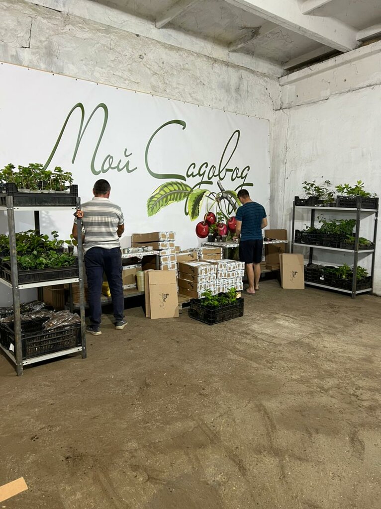 Plant nursery MoiSadovod, Republic of Crimea, photo