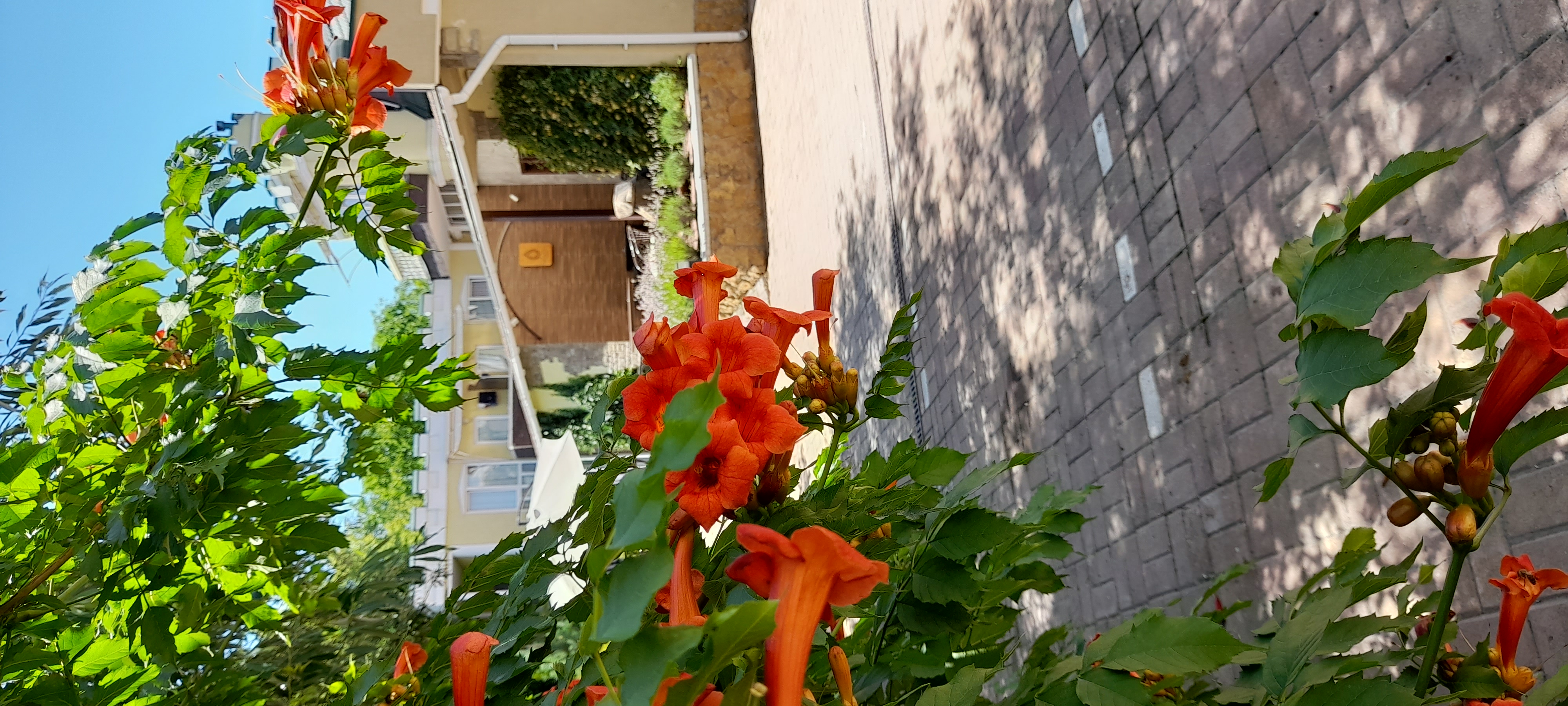 Фото Термальный