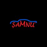 Samnu Otomotiv (Istanbul, Kadikoy, Bagdat Avenue, 7A), exposición de coches