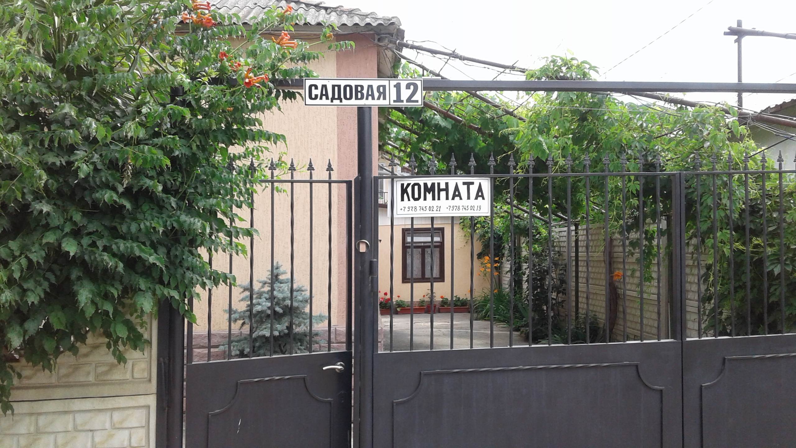 Фото У Татьяны