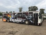 Bus 37 (Korotkova Street, 51/1), advertising agency
