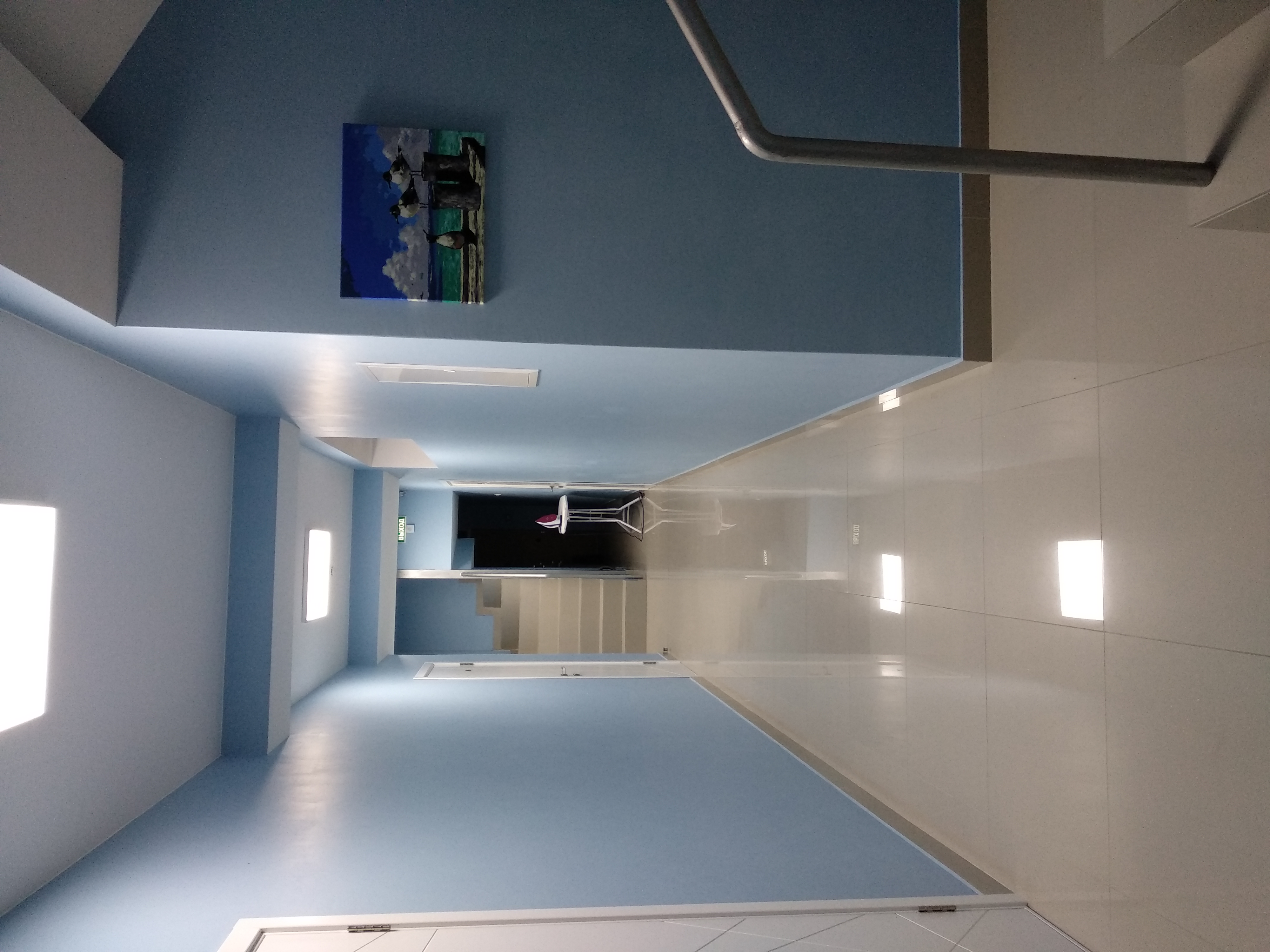 Фото Медуза