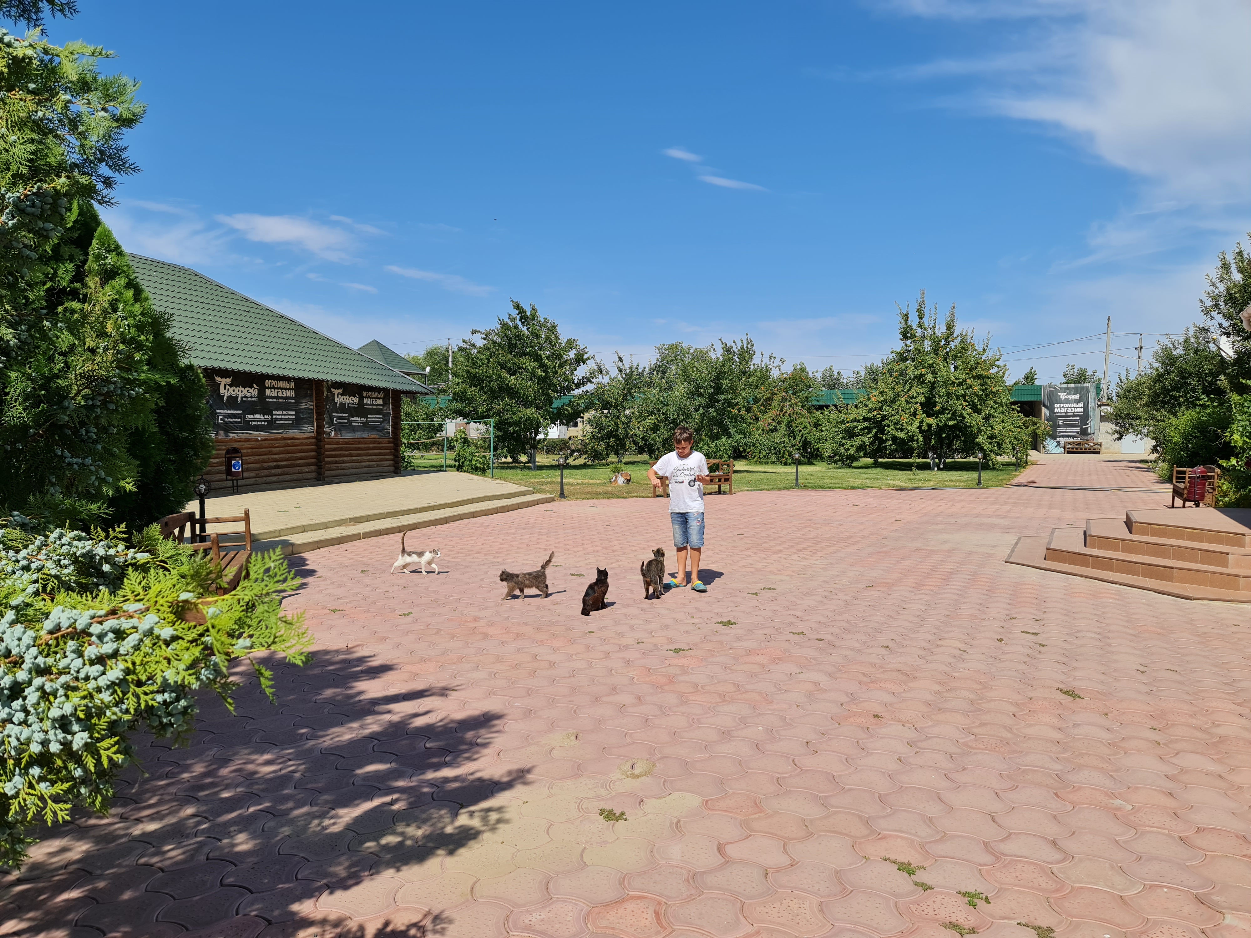 Фото Авалон