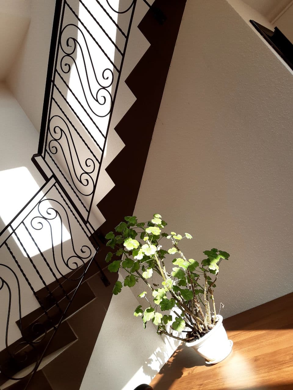 Фото Дача Хаус