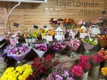 Цветы Май Май (ул. Лесозаготовителей, 9, Югорск), магазин цветов в Югорске