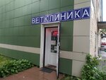 Виветум (Новоизмайловский просп., 81, корп. 2, Санкт-Петербург), ветеринарная клиника в Санкт‑Петербурге