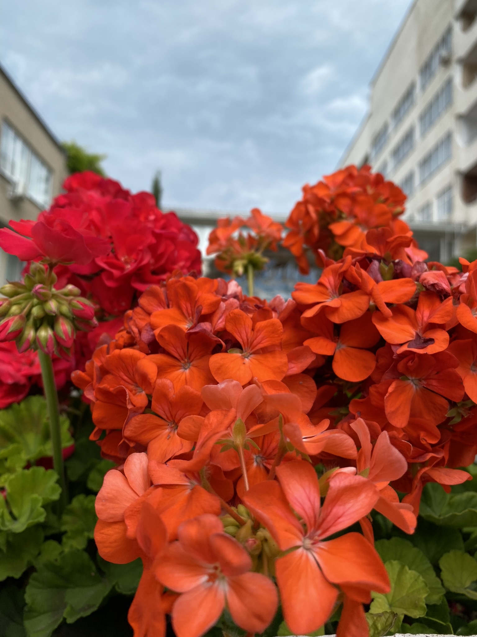 Фото Приморье