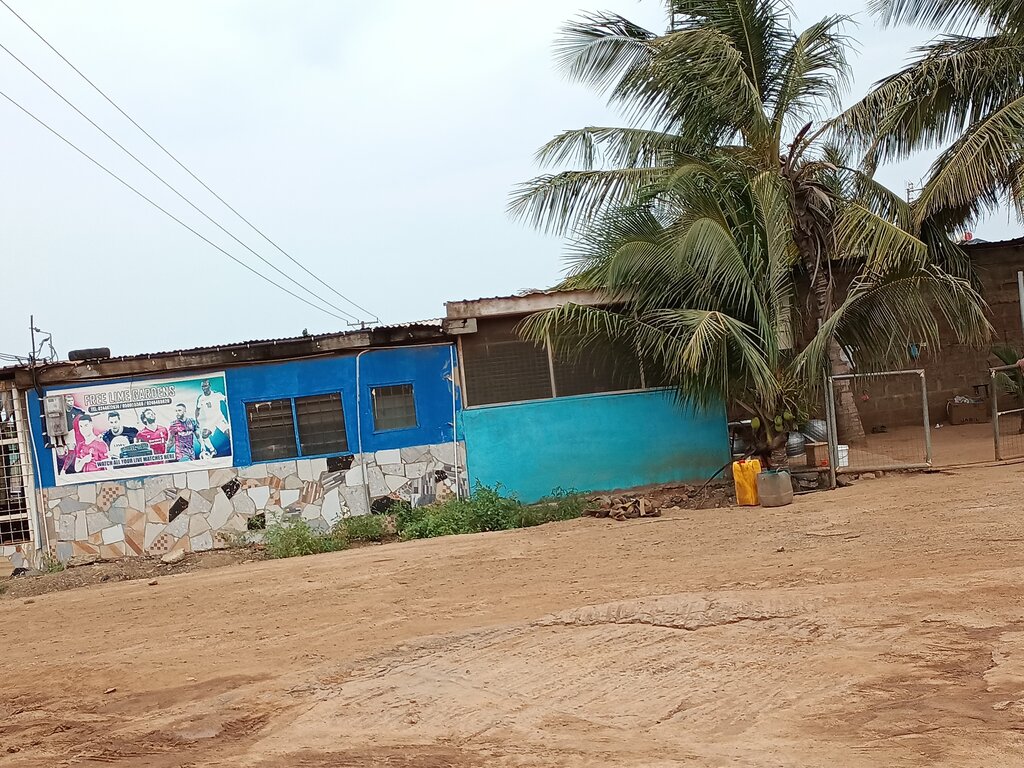 Bar, pub Free alime Gardens, Earth, photo