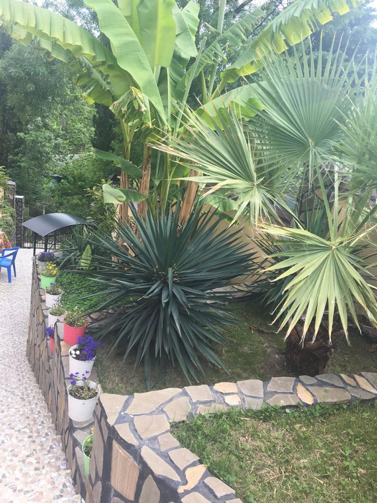 Фото Мари Роз