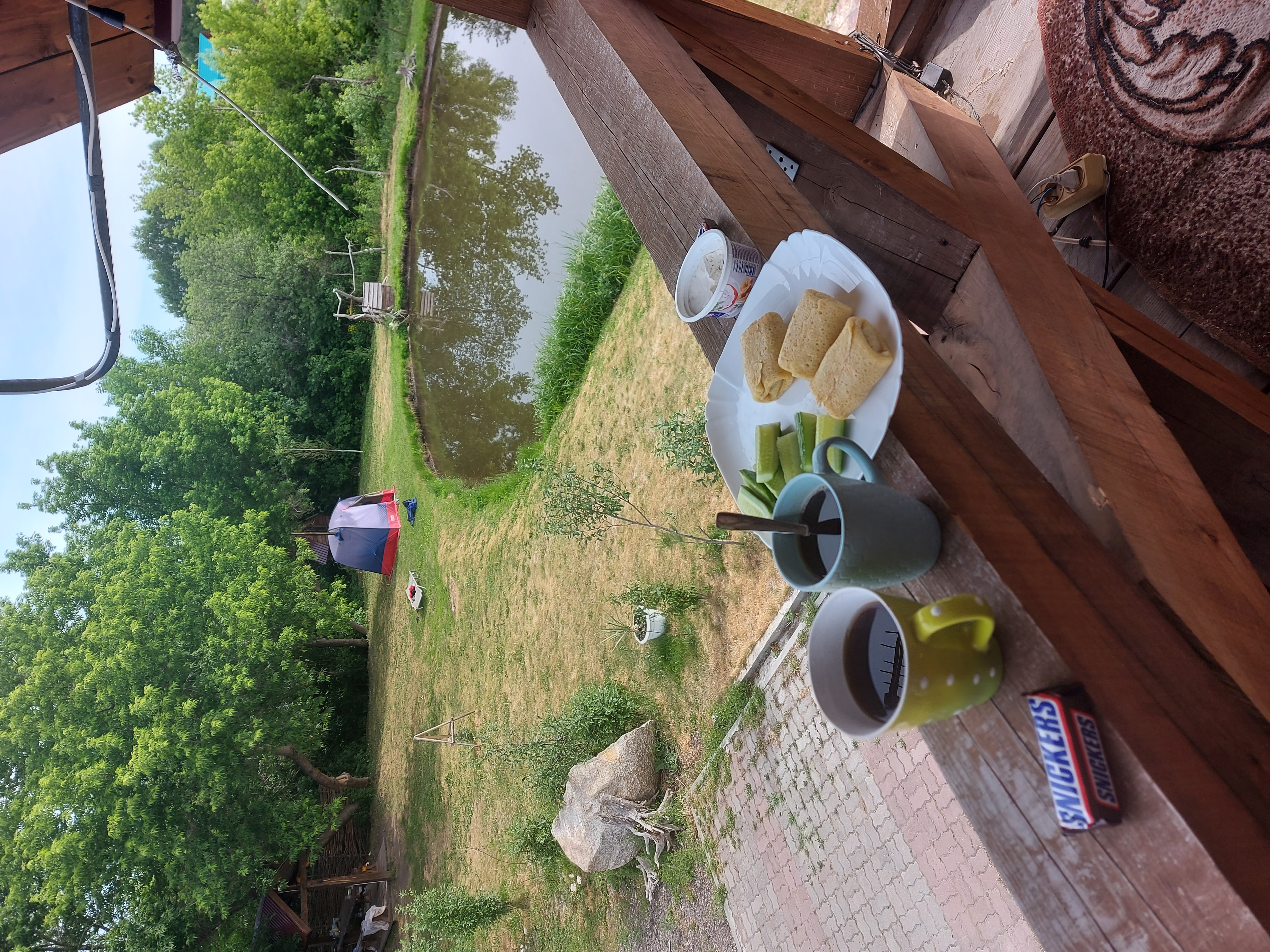 Фото Ковчег