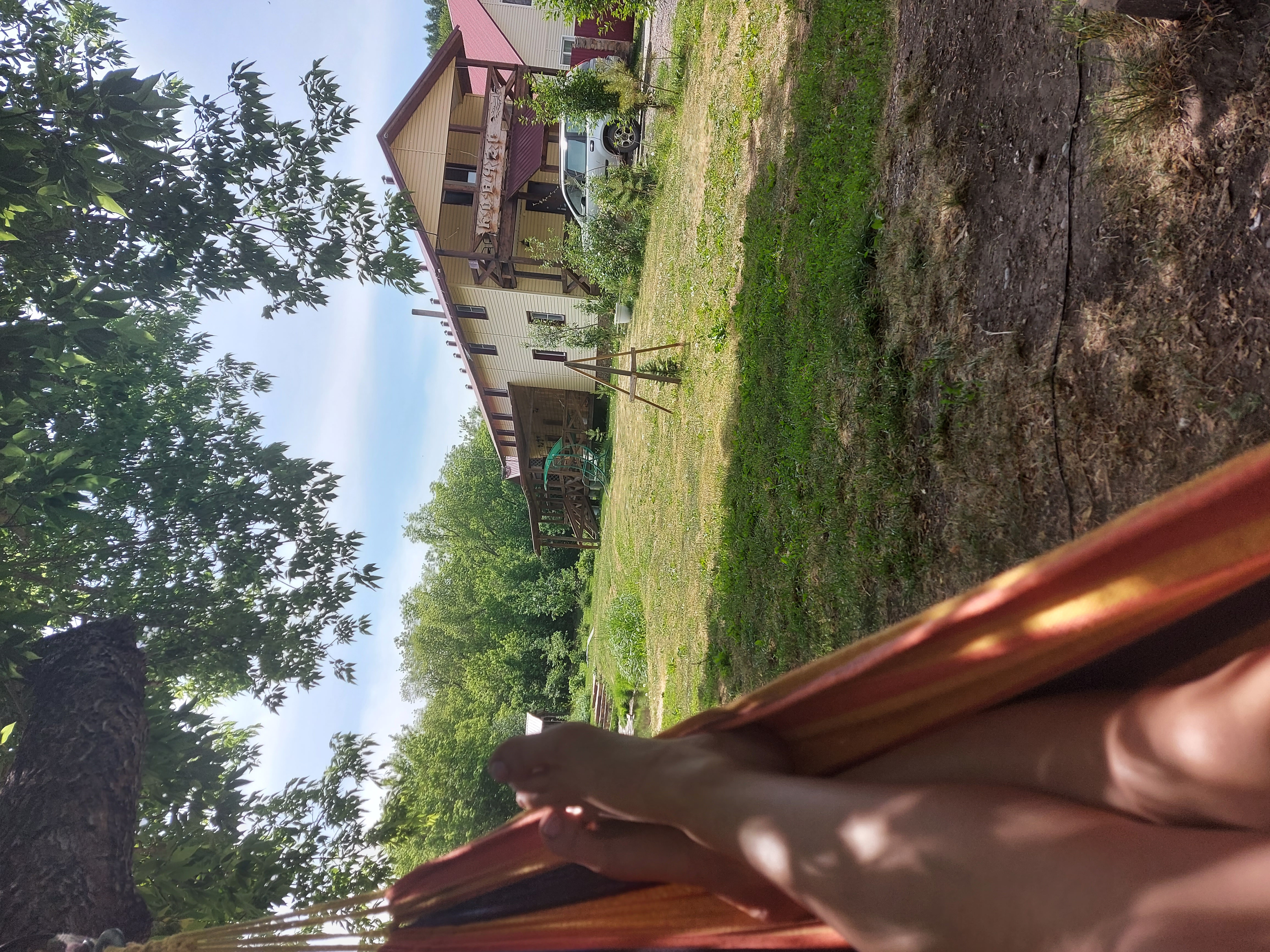 Фото Ковчег