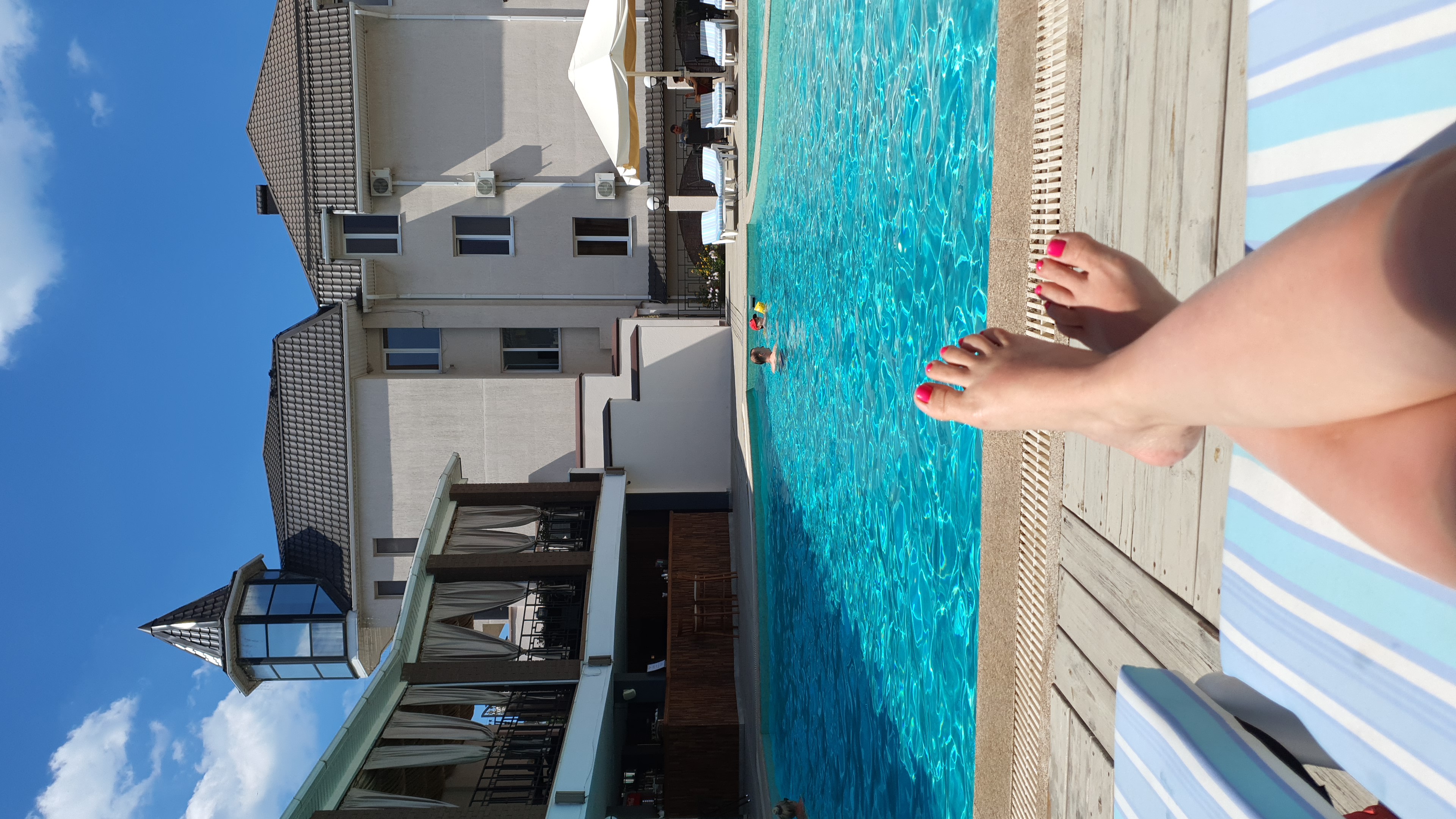 Фото Дельмонт