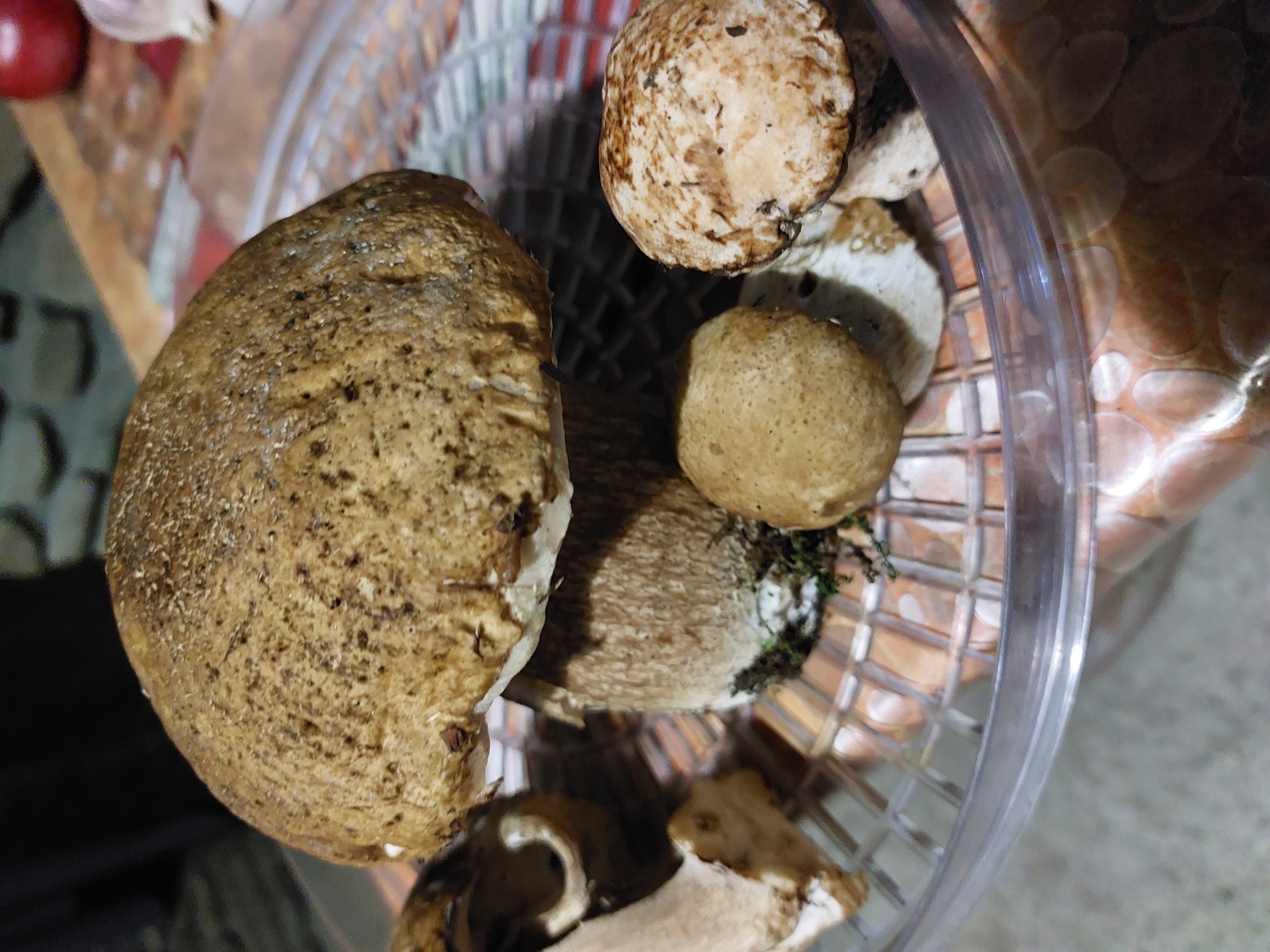 Фото НаМиРа