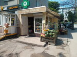 Овощи и фрукты (ул. Калинина, 79, Тула), магазин овощей и фруктов в Туле