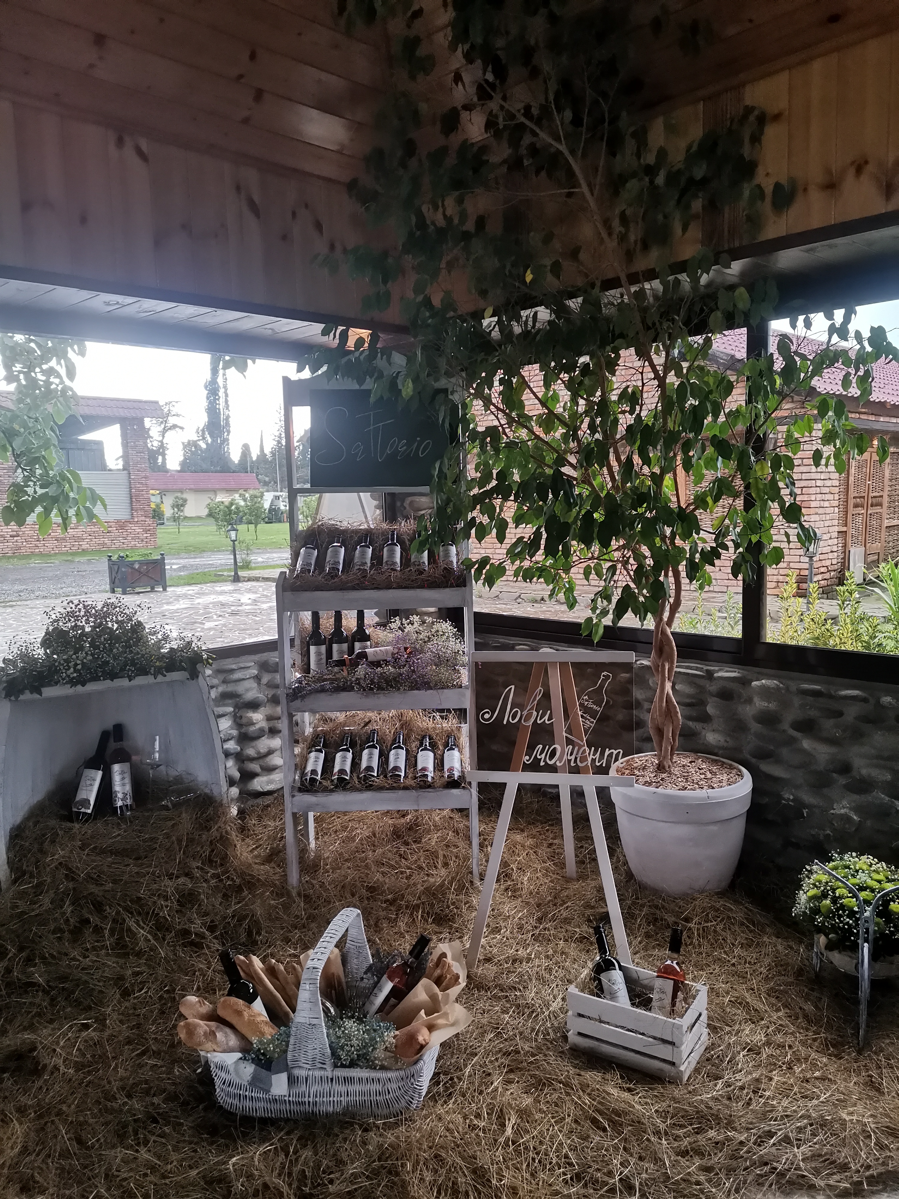 Фото Forest Club