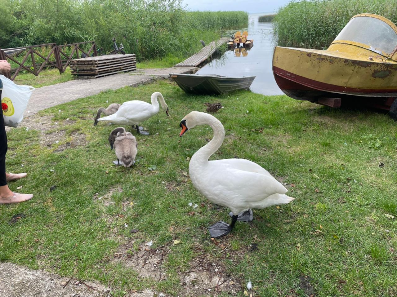 Фото Дом рыболова