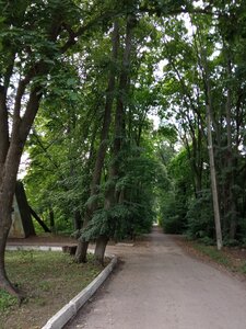 Усадьба дворян Ульрих-Снежковых (selo Novonikolskoye, Sovetskaya ulitsa, 41), landmark, attraction