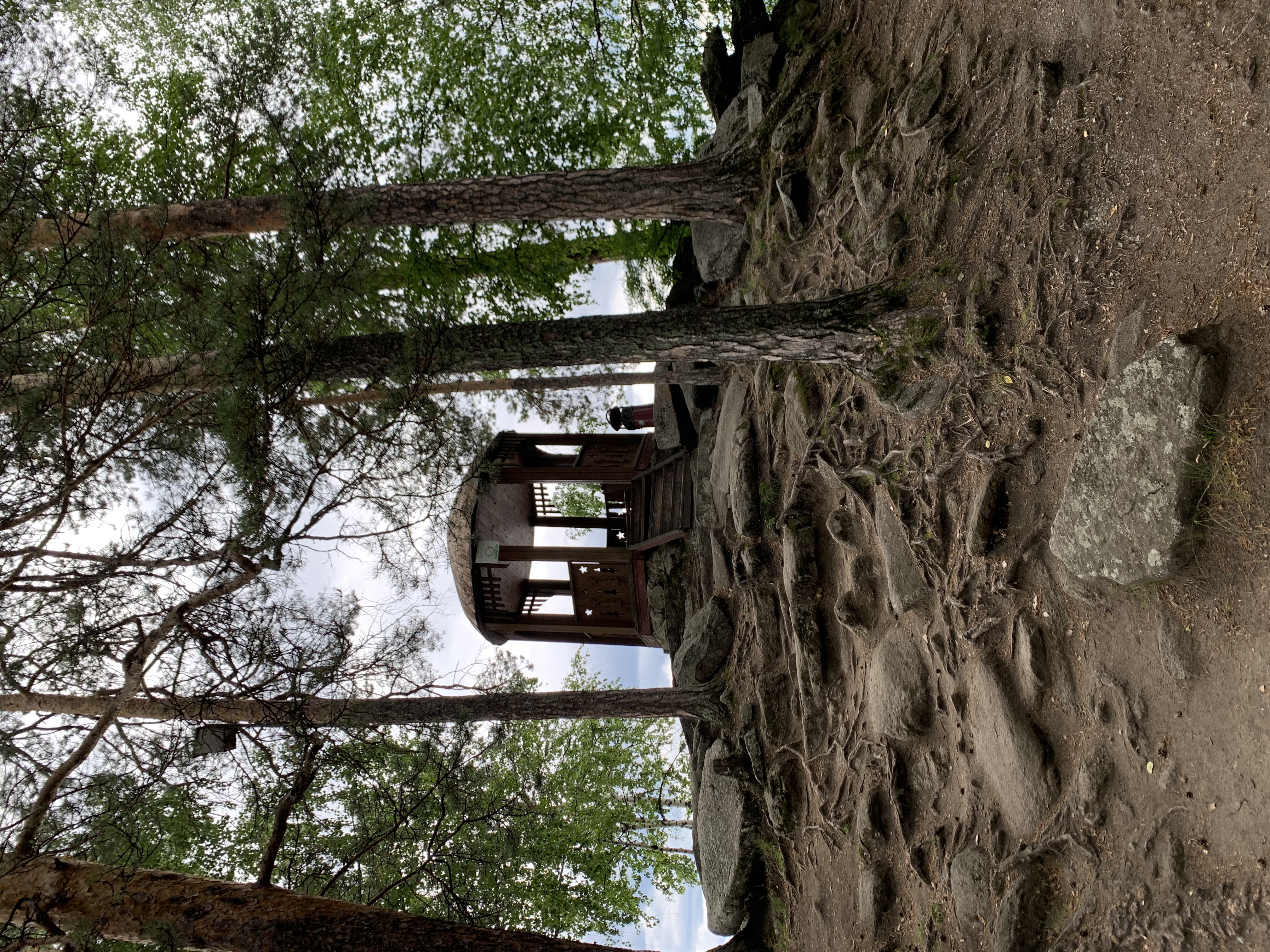 Фото Тургояк-Сити