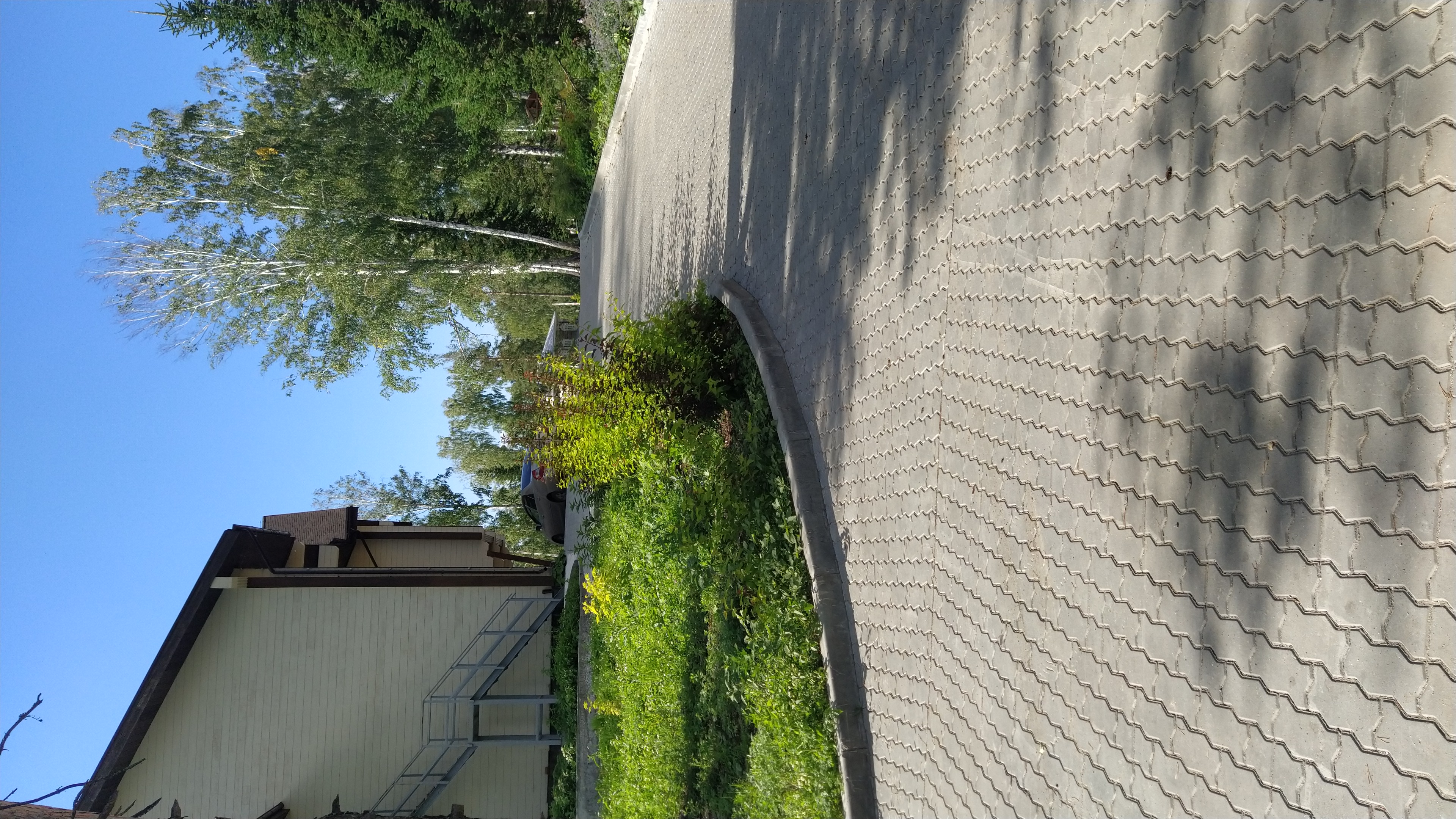 Фото Олимп-Парк