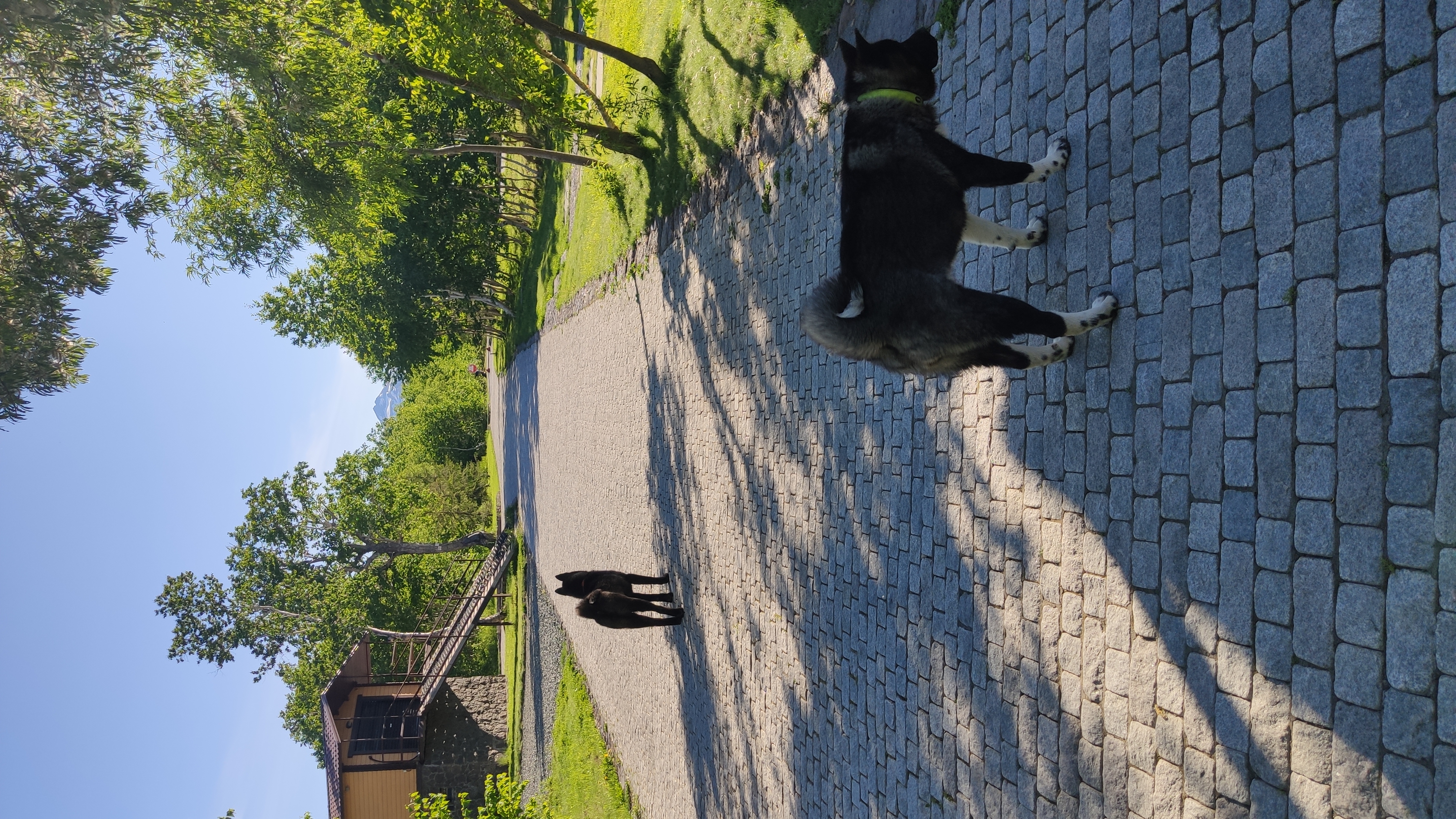 Фото Снежная Долина