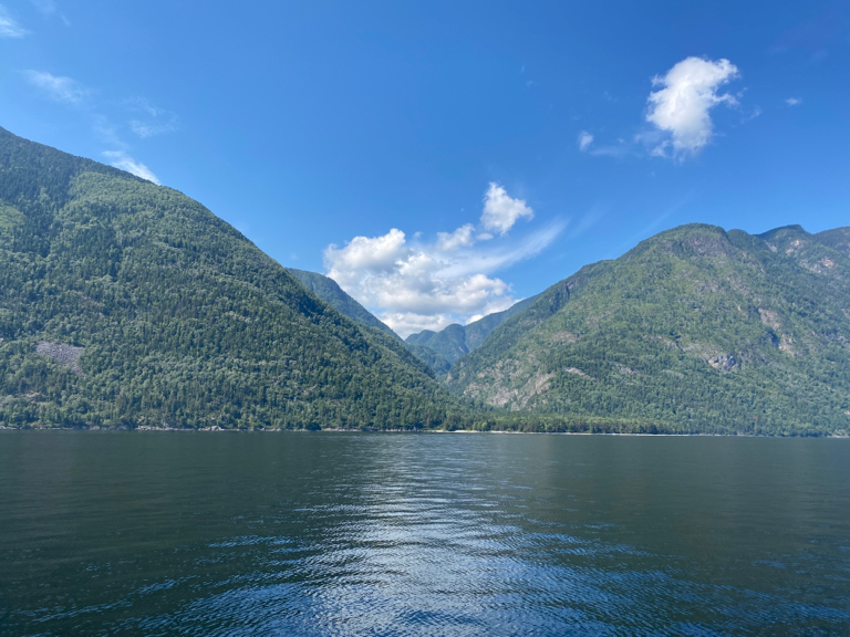 Фото Телецкое золотое