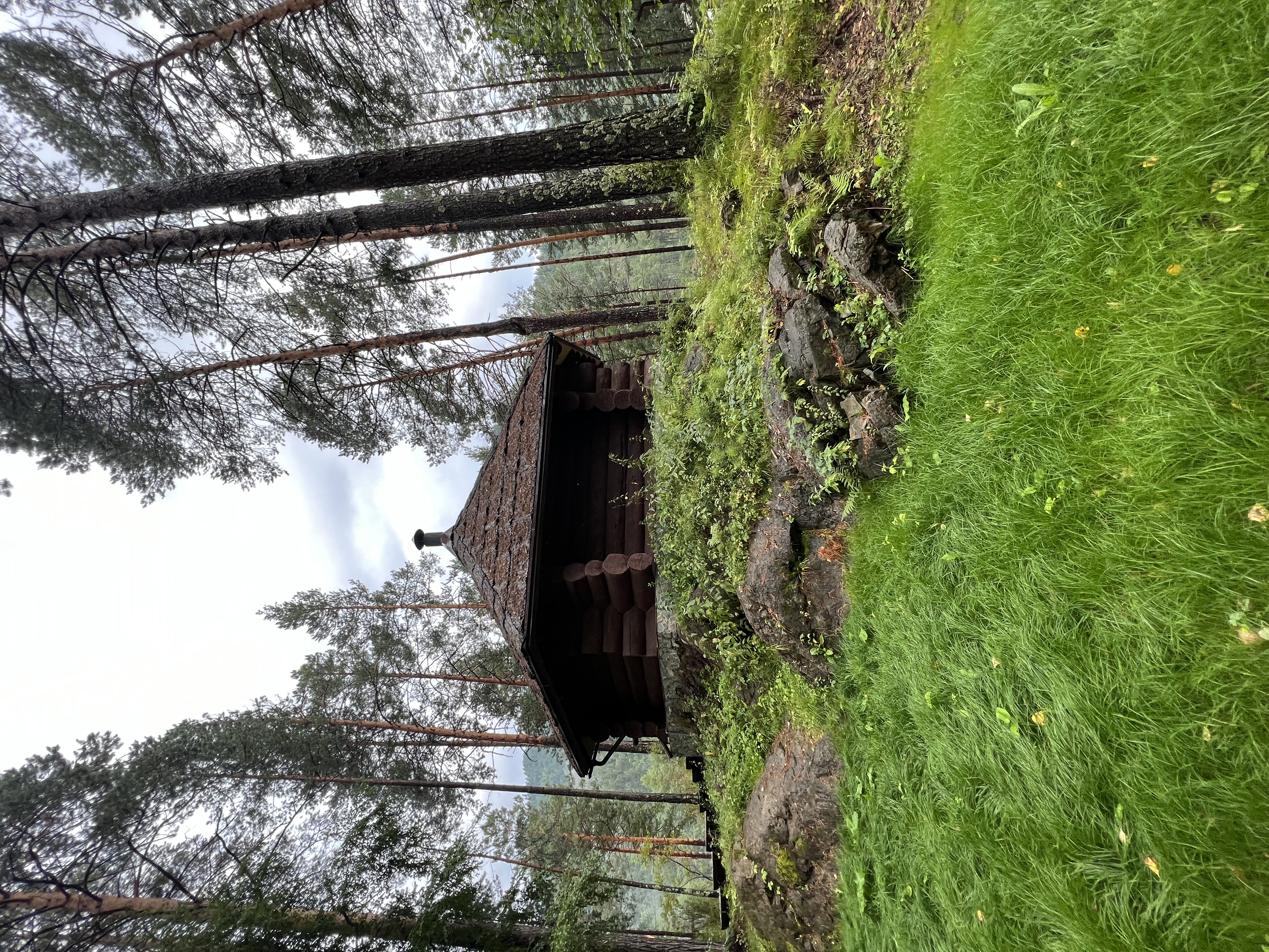 Фото Кедровый остров