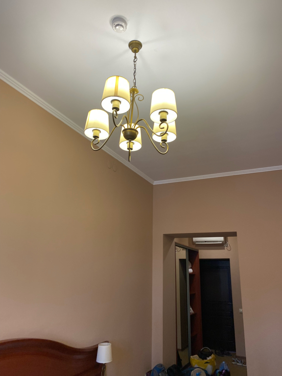 Фото Диоскурия