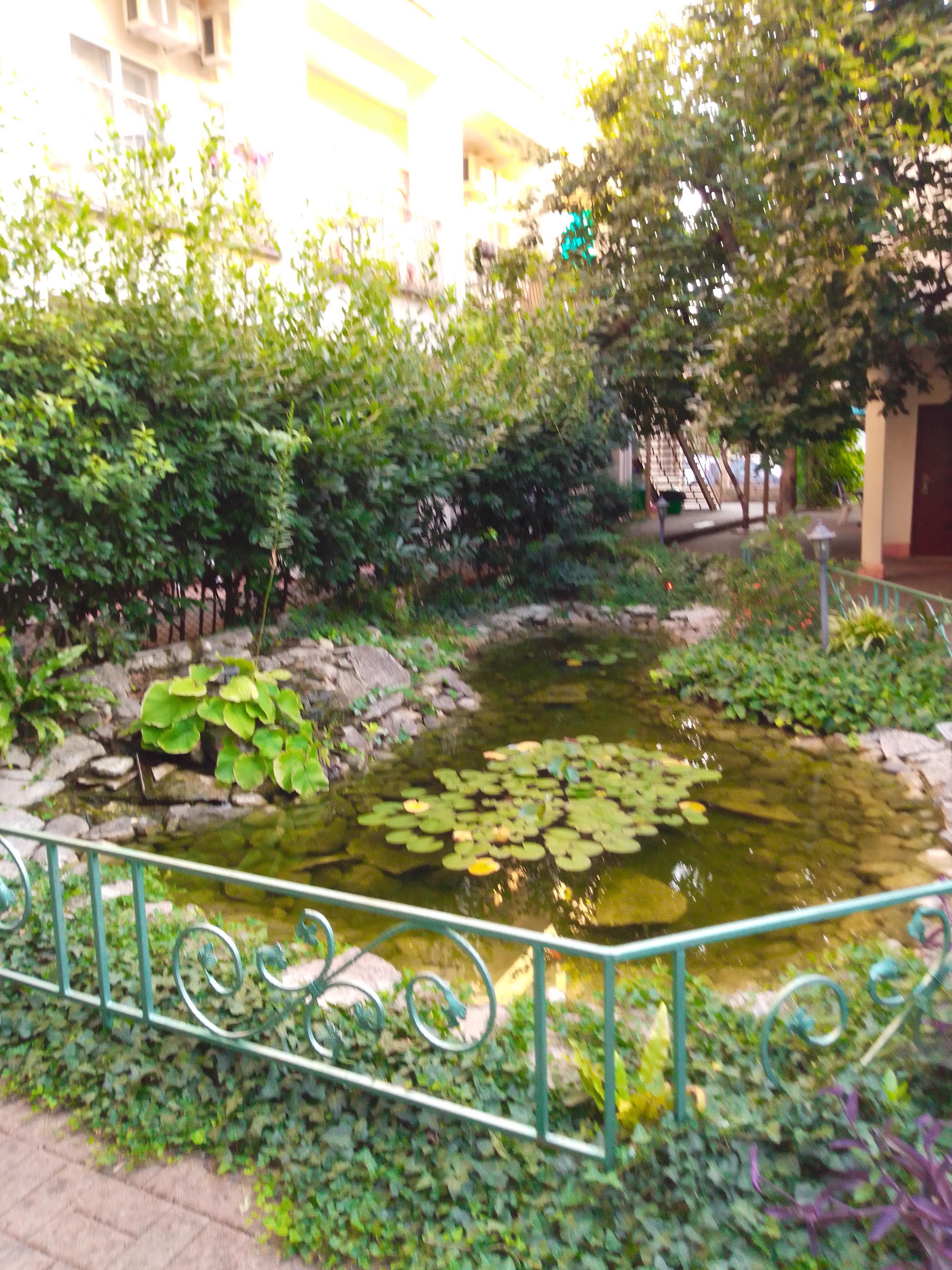 Фото отеля 2