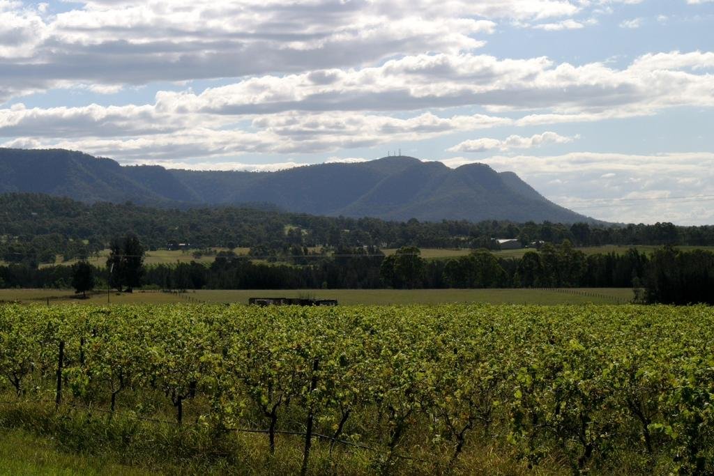 Фото Windarra Lodge