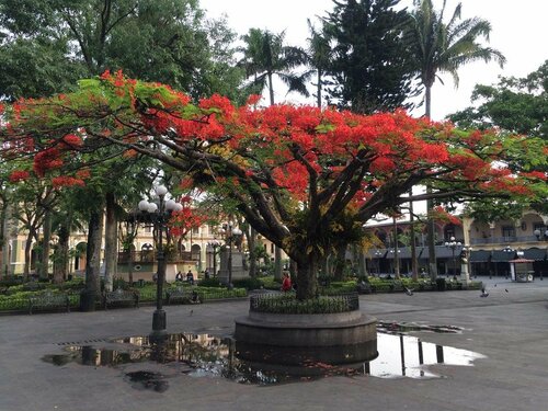Гостиница Suites Layfer cocineta room y hotel Cordoba Veracruz Mexico в Штате Веракрус