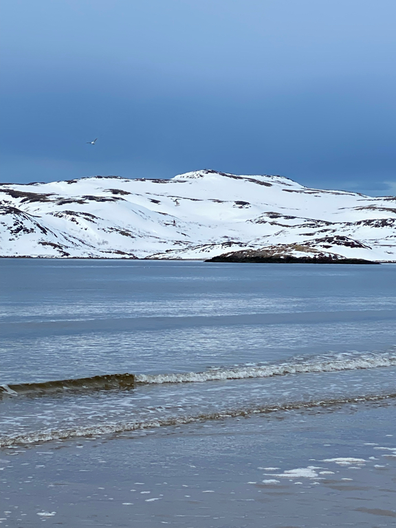 Фото Териберка House