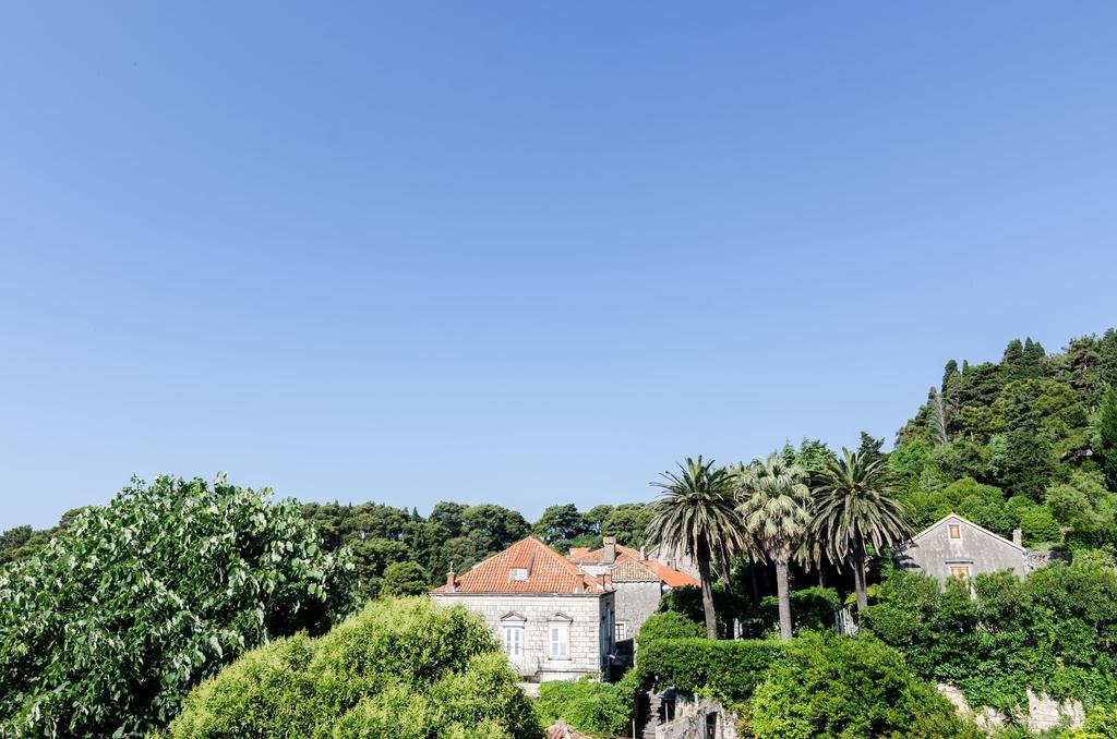 Фото Apartments Paula